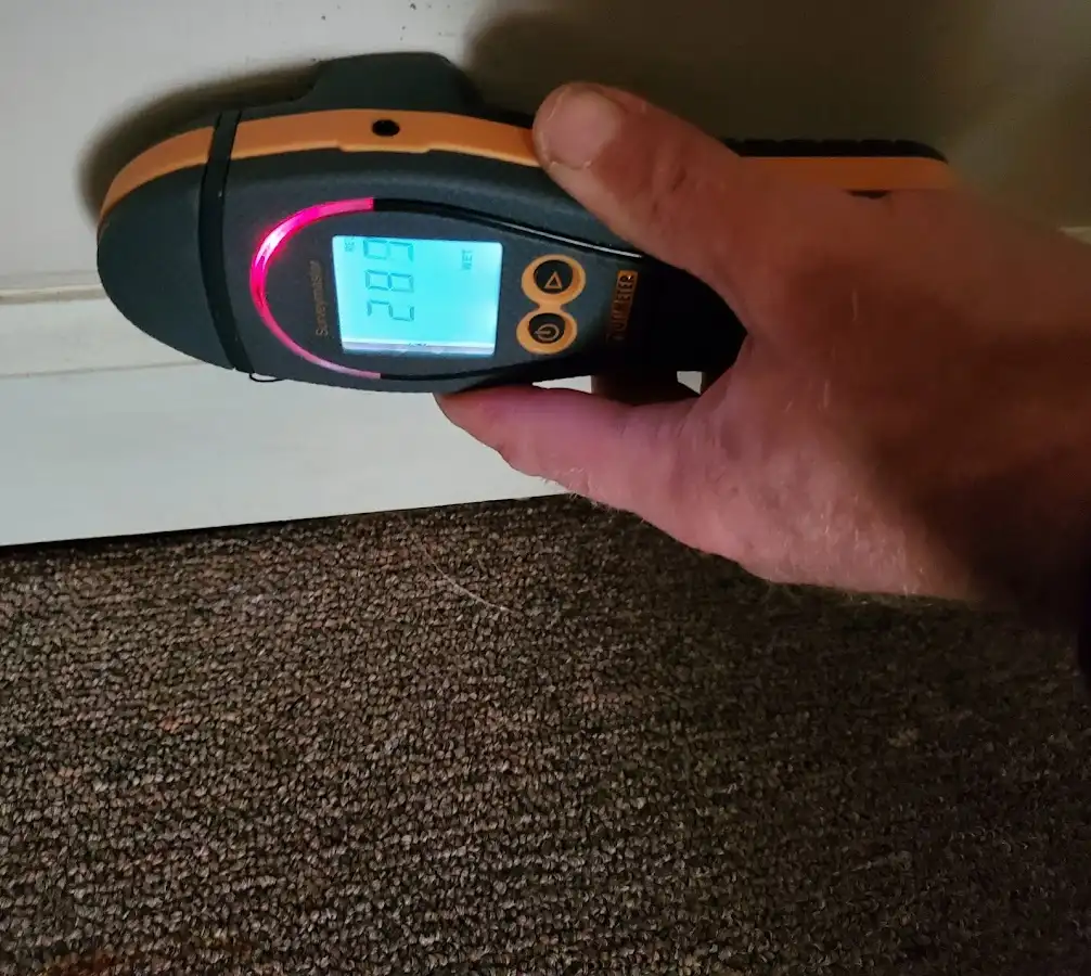 Moisture detection at baseboard during Sewage Cleanup & Sanitation in Glenarden